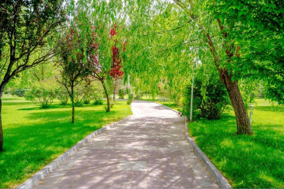 Korel Thermal Resort Afyonkarahisar Ngoại thất bức ảnh