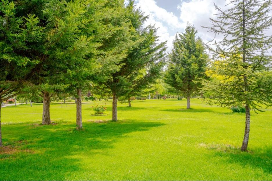 Korel Thermal Resort Afyonkarahisar Ngoại thất bức ảnh